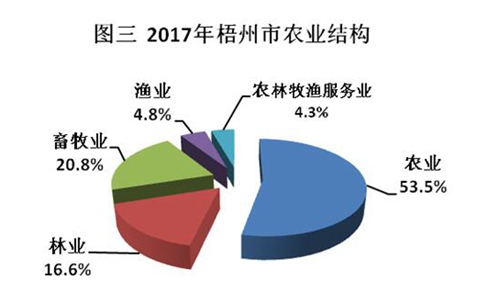 梧州市gdp_梧州市第十五中学图片(3)